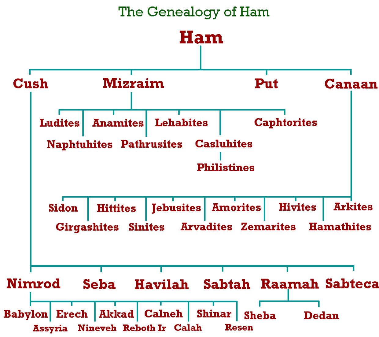 genealogy_ham